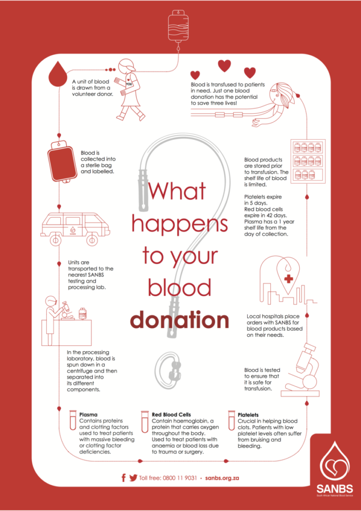 Donation process - SANBS