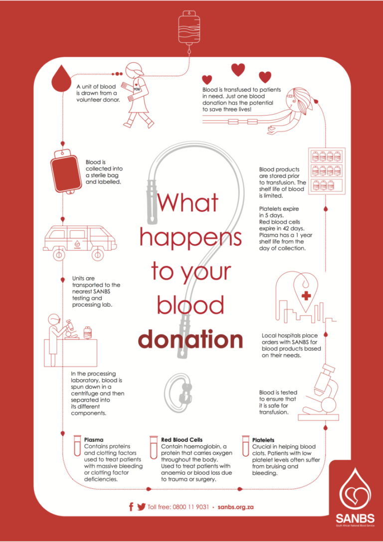 Donation process SANBS